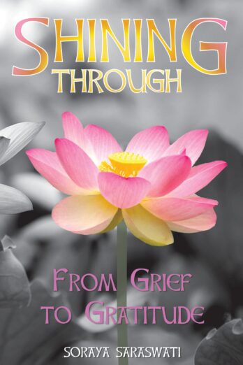 Shining Through: From Grief to Gratitude