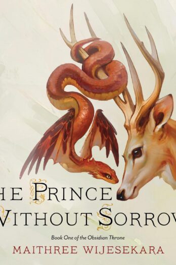 The Prince Without Sorrow