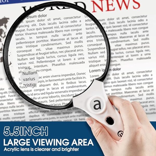 large magnifying glass viewing area