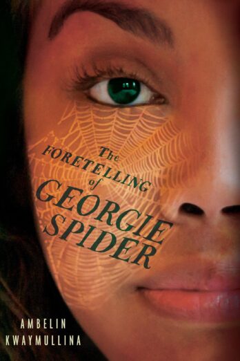 The Foretelling of Georgie Spider (The Tribe)
