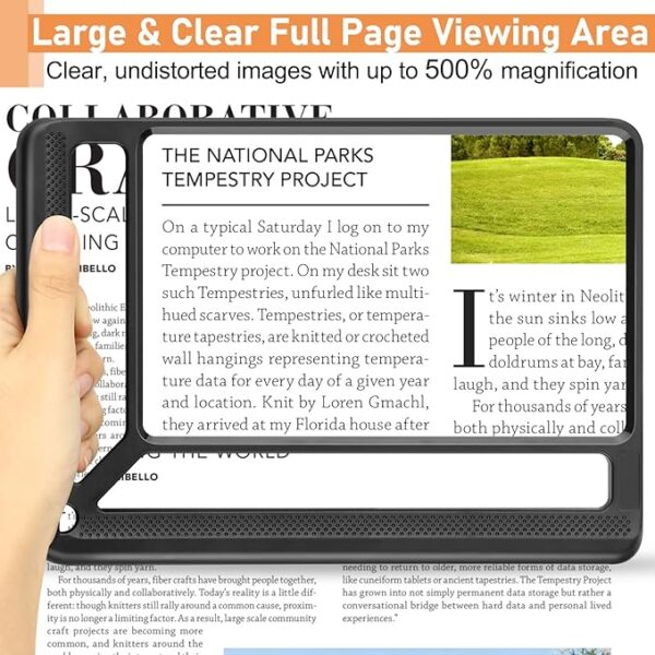 full page magnifying glass viewing area