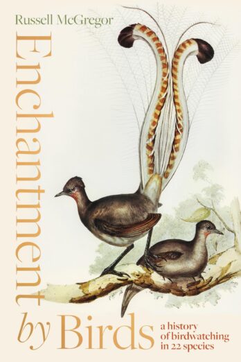 Enchantment by Birds