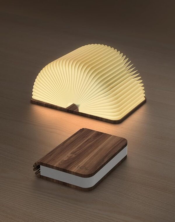 wooden book lamp