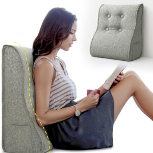 Daneey reading pillow