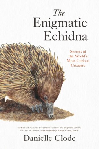 The Enigmatic Echidna