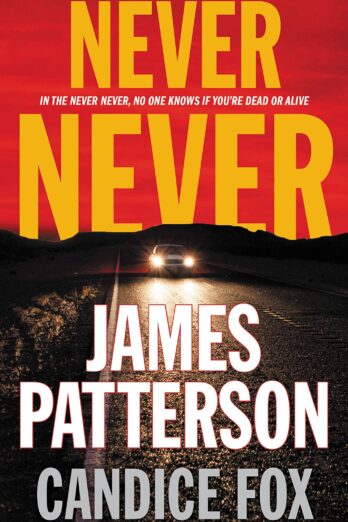 Never Never (Harriet Blue Book 1)