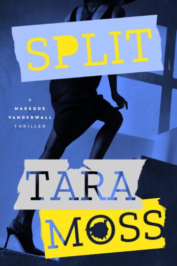 Split (The Makedde Vanderwall Thrillers Book 2)