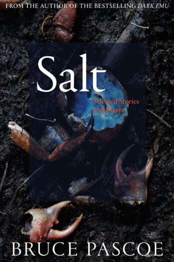 Salt: Selected Stories and Essays Cover Image